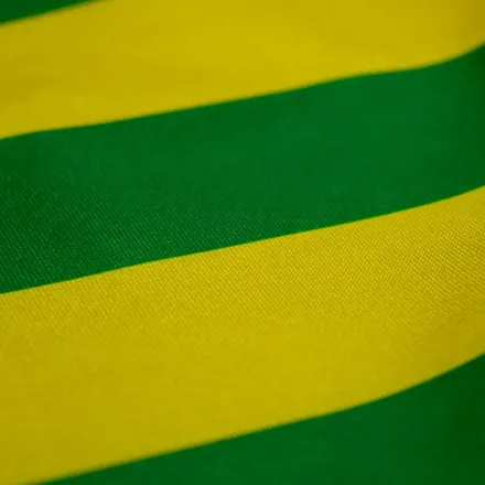 Detalhe do acabamento da bandeira de Goiás