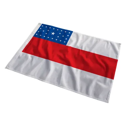Bandeira do Amazonas ao vento