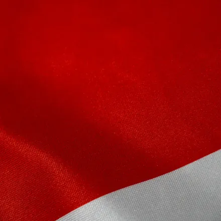 Detalhe do acabamento da bandeira do Amazonas