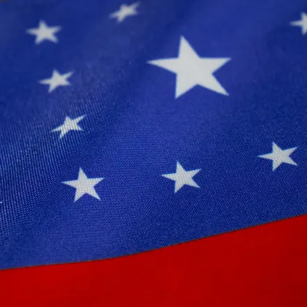 Detalhe do tecido da bandeira do Amazonas