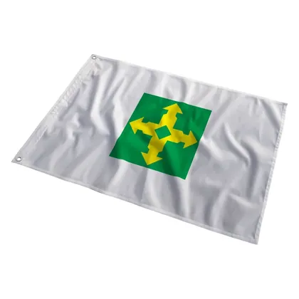 Bandeira do Distrito Federal ao vento