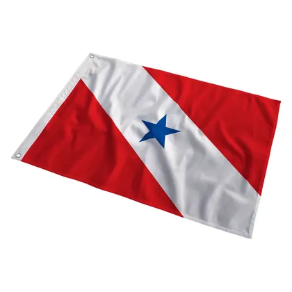 Bandeira do Pará ao vento