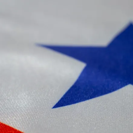 Detalhe do acabamento da bandeira do Pará