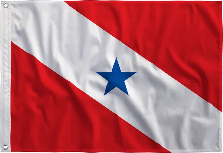 Bandeira do Pará esticada, vista de frente