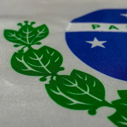 Detalhe do acabamento da bandeira do Paraná