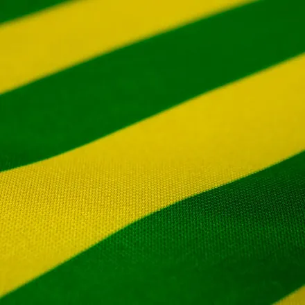 Detalhe do acabamento da bandeira do Piauí