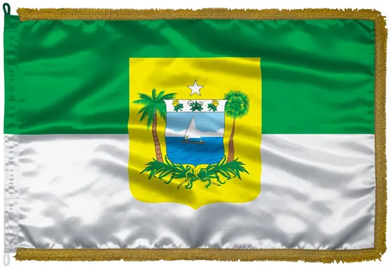 Bandeira do Rio Grande do Norte em cetim com franja dourada