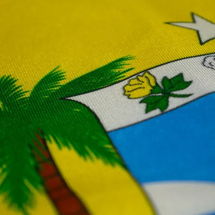 Detalhe do acabamento da bandeira do Rio Grande do Norte