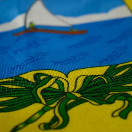 Detalhe do tecido da bandeira do Rio Grande do Norte